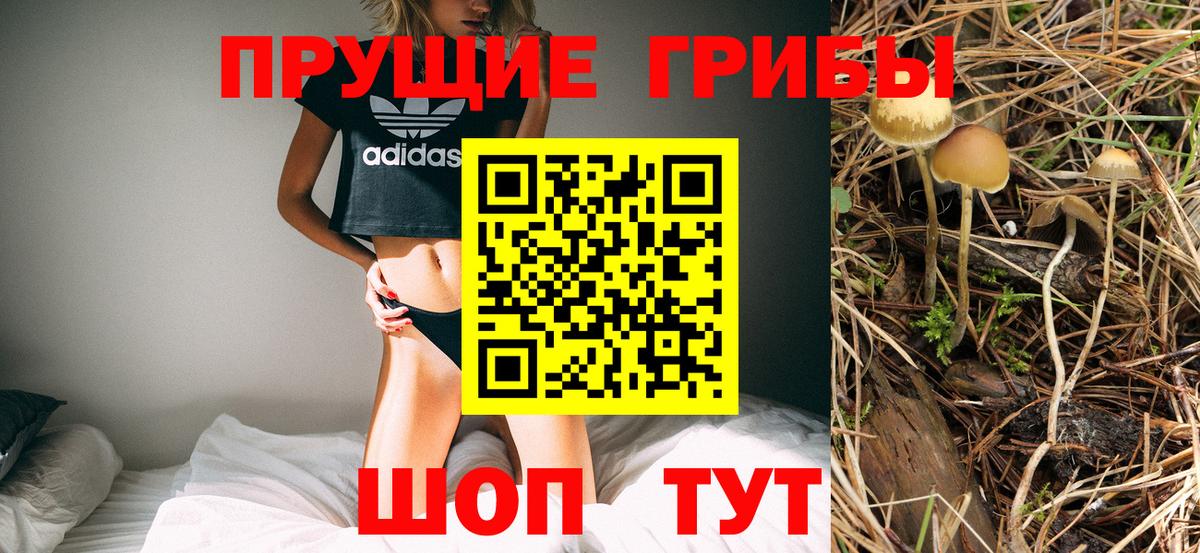 Псилоцибиновые грибы Magic Shrooms Куйбышев