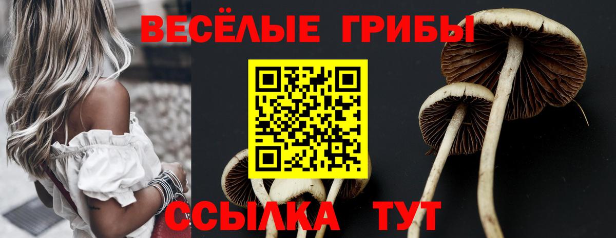Куйбышев  Псилоцибиновые грибы Cubensis  Вход с VPN 